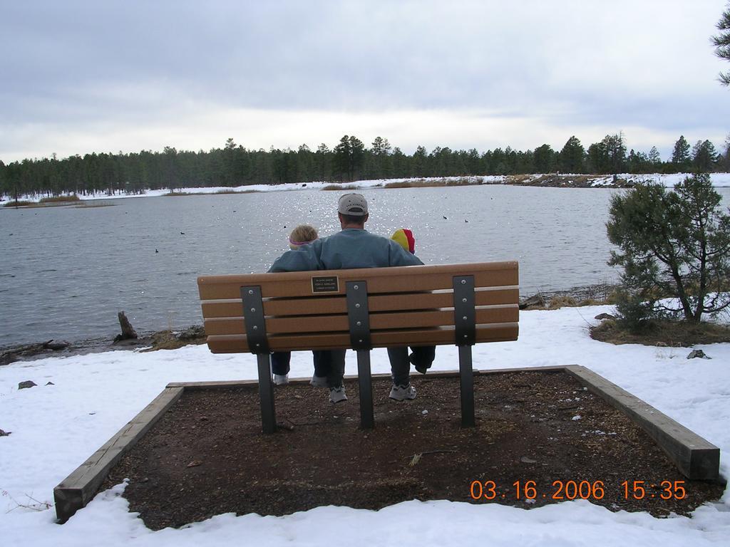Adair Springs Cabin Pinetop-Lakeside Exteriör bild