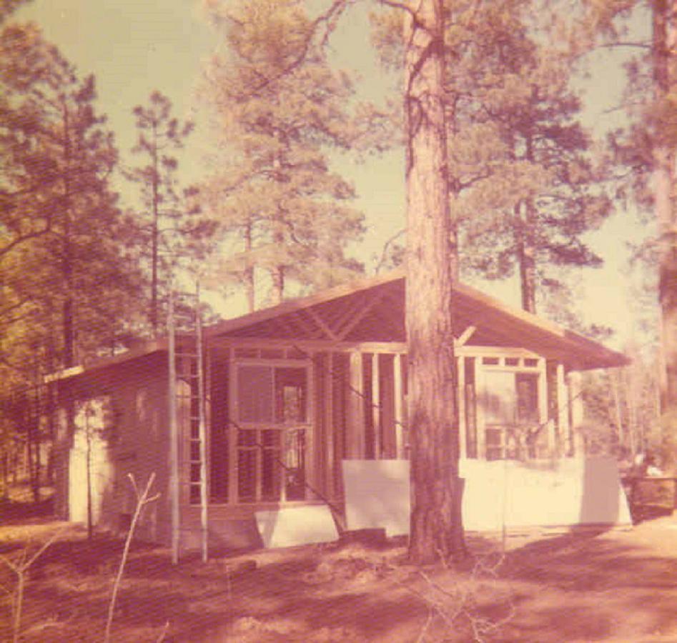 Adair Springs Cabin Pinetop-Lakeside Exteriör bild