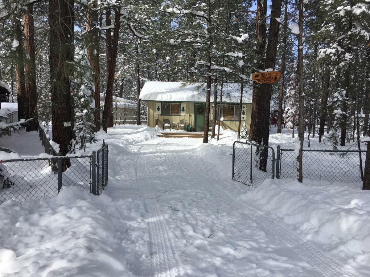Adair Springs Cabin Pinetop-Lakeside Exteriör bild